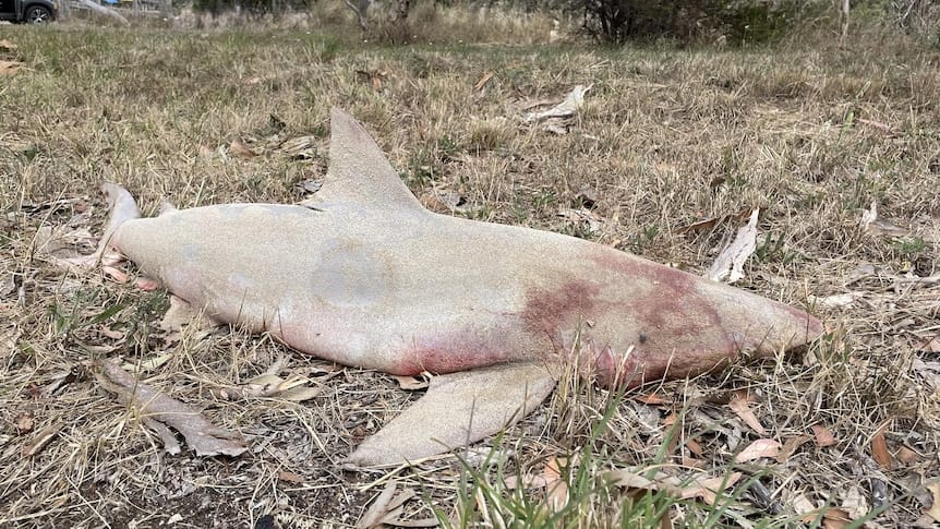 ‘Disgraceful’ discovery at Currency Creek property
